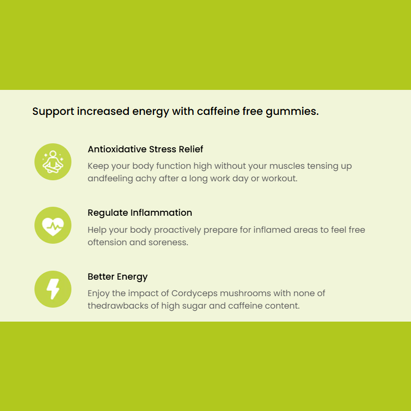 Troomy Energy Boost Facts Troomy Nootropics Energy Boost: 800mg Mushroom Blend Daily Gummies / Lemon Lime 2 Pack