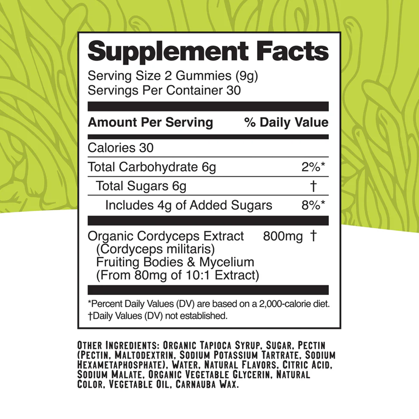 Troomy Energy Boost Label Troomy Nootropics Energy Boost: 800mg Mushroom Blend Daily Gummies / Lemon Lime 2 Pack